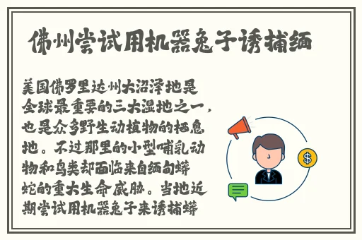 91轻量版最新版苹果手机